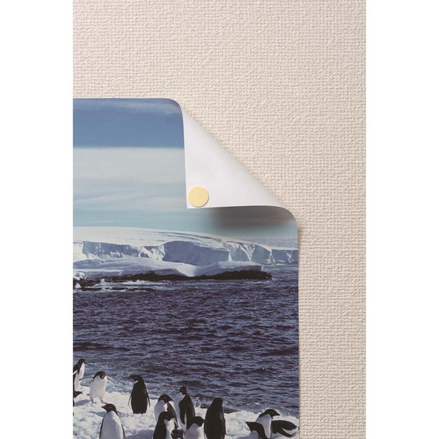 Nichiban ニチバン　カベタック　スポンジ両面粘着シート KW-231 | NICHIBAN | 01