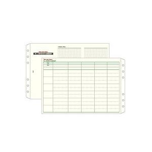 レイメイ藤井　Date your dream システム手帳　リフィル　スケジュールリフィル　フリー5-イヤープランニング(5カ年計画) DR15 | 