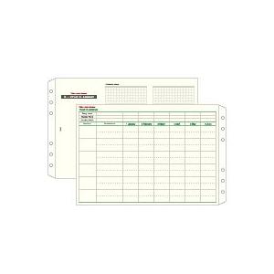 レイメイ藤井　Date your dream システム手帳　リフィル　スケジュールリフィル　フリーイヤープランニング（1カ年計画）　DR16 | 