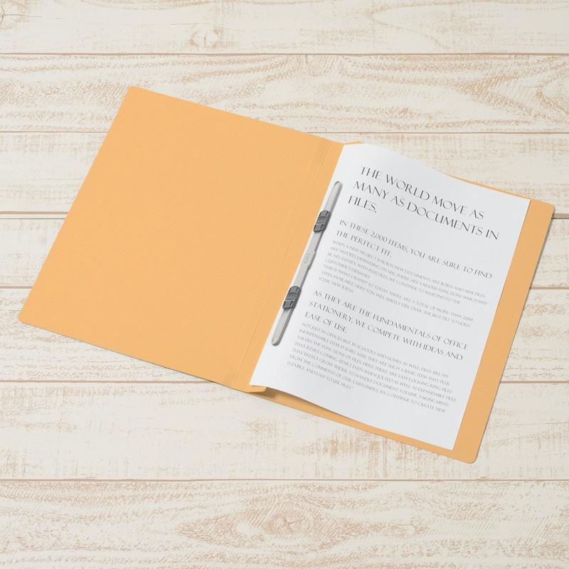 プラス(PLUS)エコノミー フラットファイル 30冊パック A4-S 150枚とじ イエロー NO.021E*3　79-357*3 | PLUS | 03