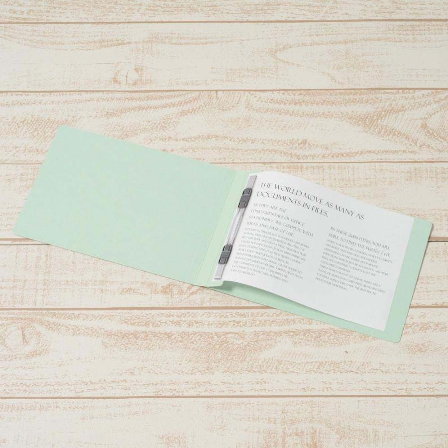 プラス PLUS フラットファイル 樹脂 3冊パック A5E ブルー 78415 | PLUS | 03