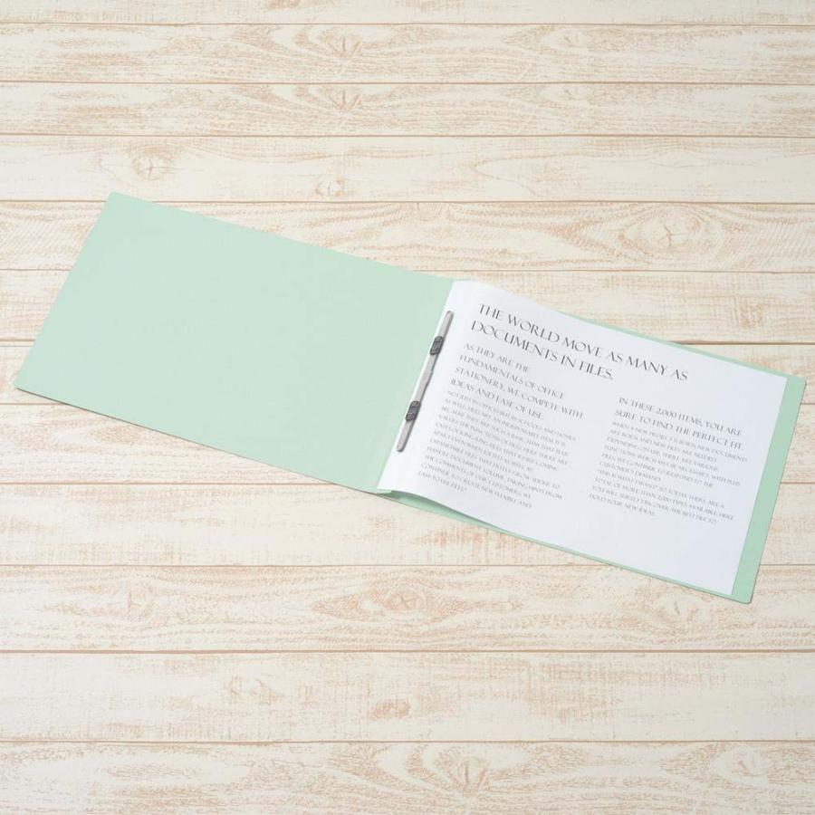 プラス PLUS フラットファイル 樹脂 3冊パック A3E ブルー 78325 | PLUS | 03