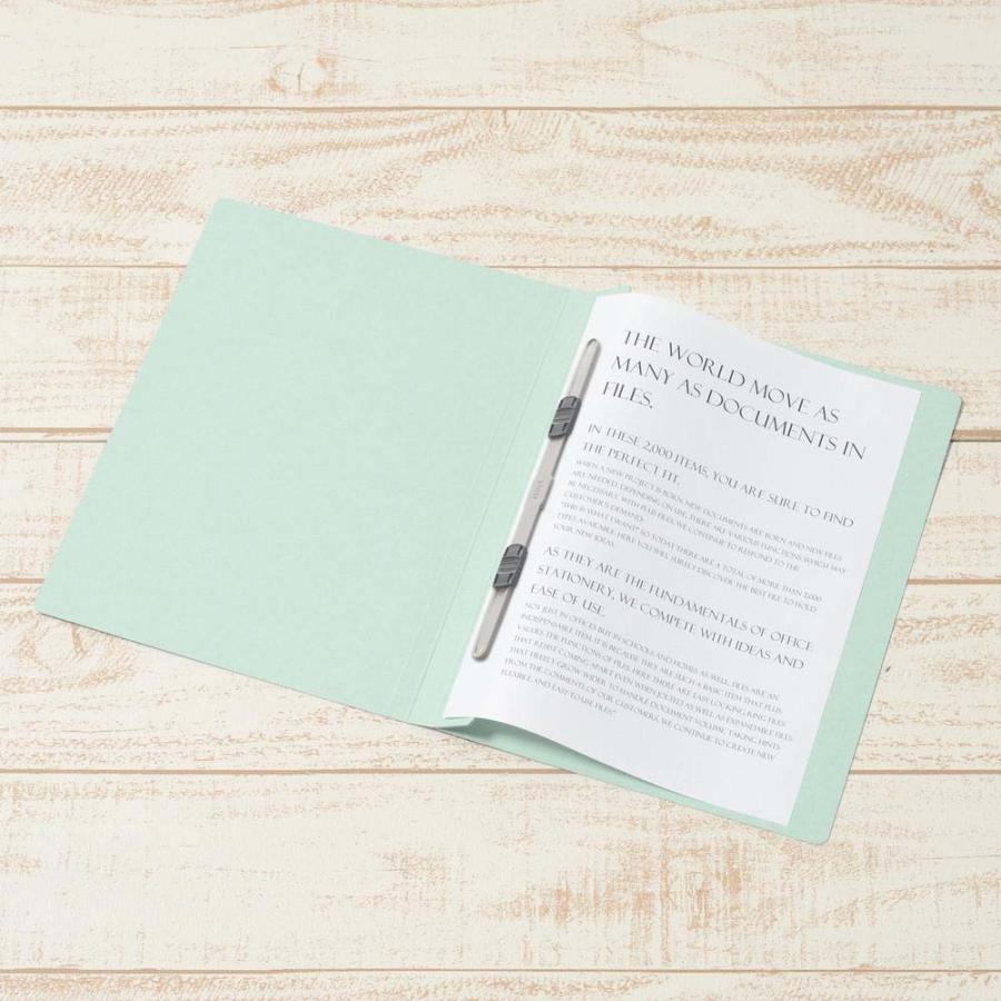 プラス PLUS フラットファイル 樹脂 3冊パック B5S ブルー 78395 | PLUS | 03