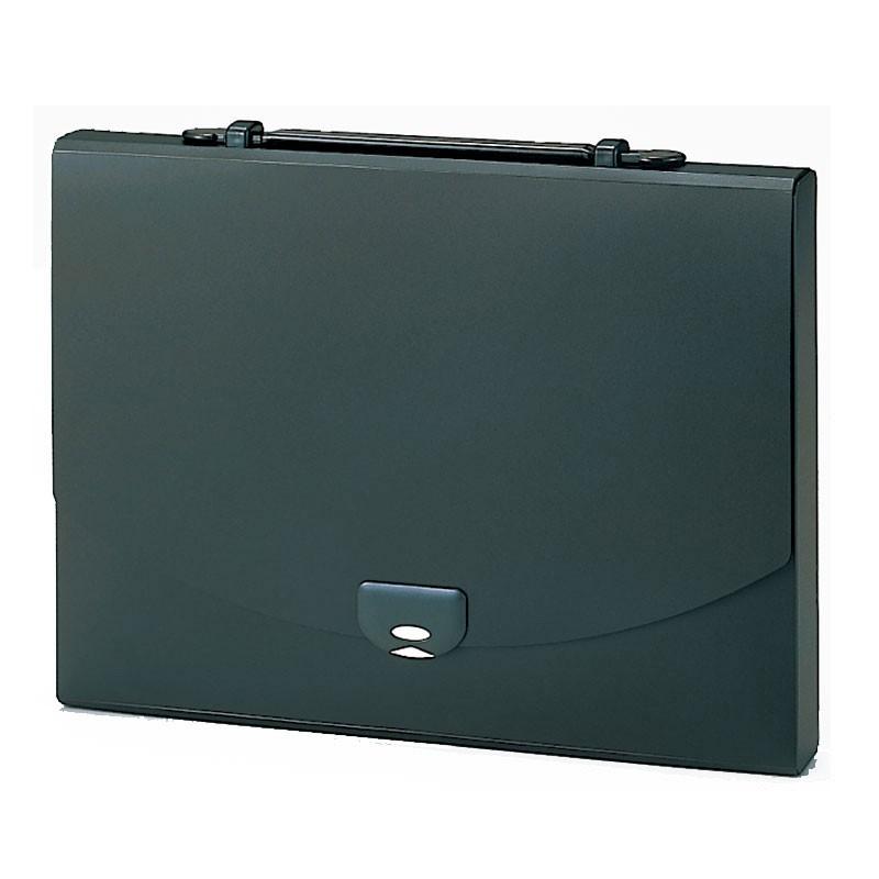 セキセイ　プレイング　２ウェイケース　ブラック　AP-952-60 | 