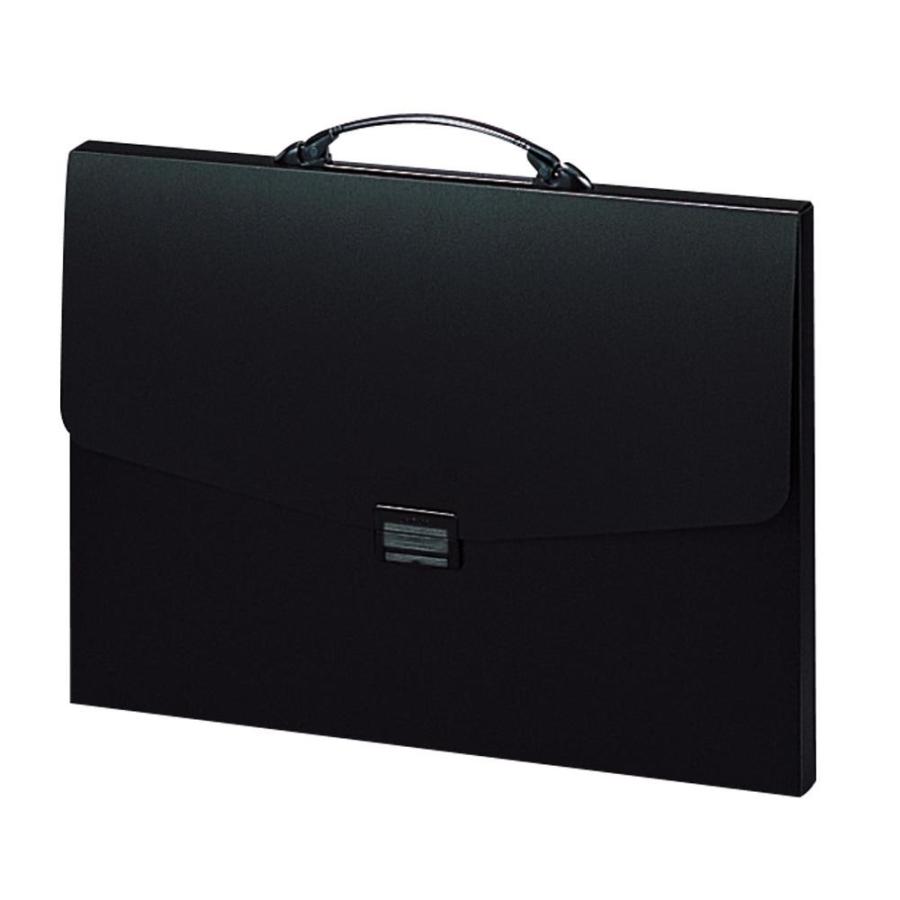 リヒトラブ ポートフォリオ・ナスカフレックス F-912黒ブラック A3 | 