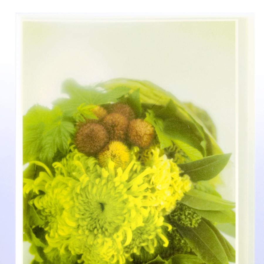 プラス(PLUS)シンプル クリアーファイル 溶着式 A4-S 10ポケット ブルー FC-210SC 98-151 | PLUS | 02