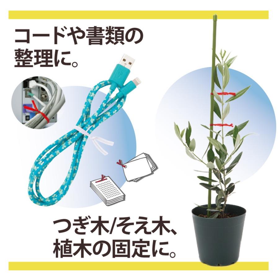 プラス (PLUS) ビニタイ ねじりっこ 20m巻×10 カッター付 グリーン 10個パック TF-800 82-635 ×10 | PLUS | 04