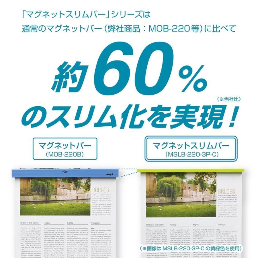 マグエックス マグネットスリムバー 220mm 3本入 （水色・青・黄緑）色　MSLB-220-3P-C |  | 03