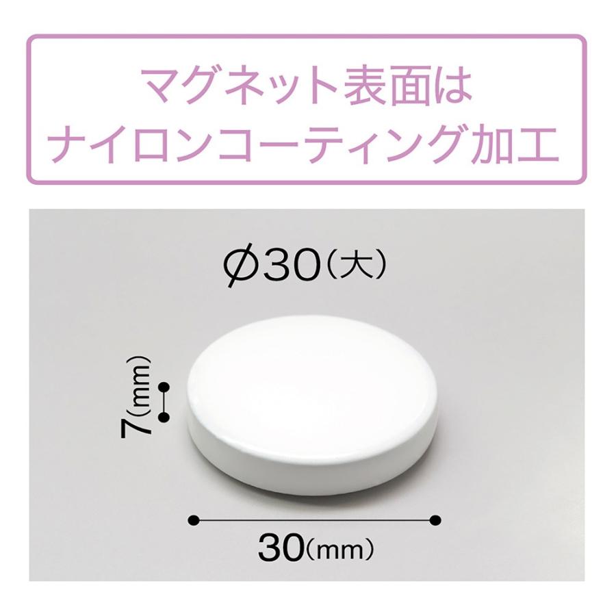 マグエックス 強力カラーマグネット 大　30mm 2個入 白　MFCM-30-2P-W |  | 04