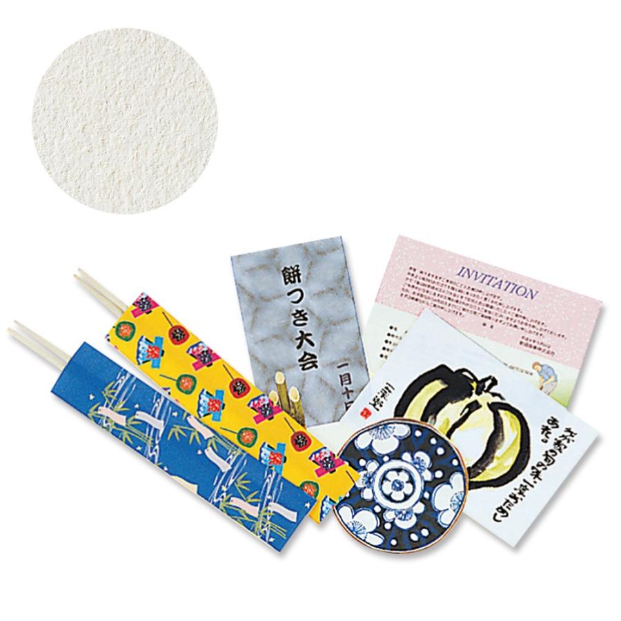 プラス(PLUS) インクジェット用紙 和紙 特厚口 A4 10枚入 IT-324R 45-899 | PLUS | 01