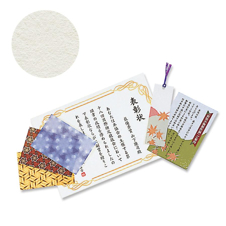 プラス(PLUS) インクジェット用紙 和紙 中厚口 A4 10枚入 IT-324J 45-295 | PLUS | 01