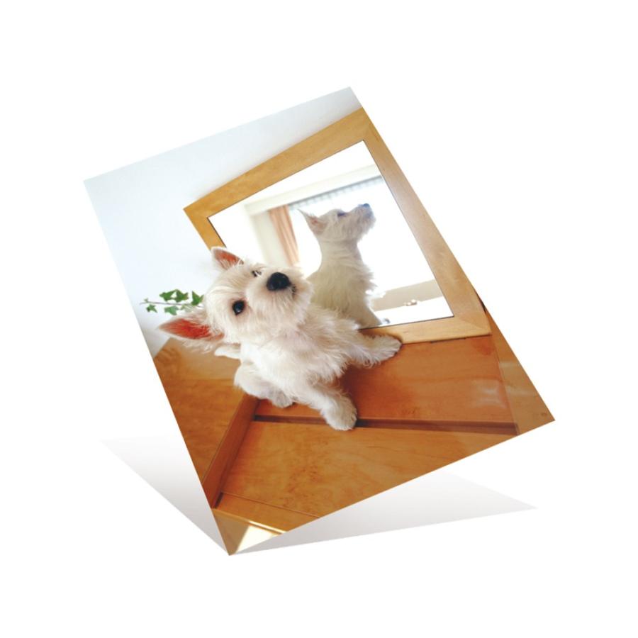 プラス(PLUS) インクジェット用紙 超きれいな光沢紙 A4判 20枚入 IT-122GC　46-061 | PLUS | 03