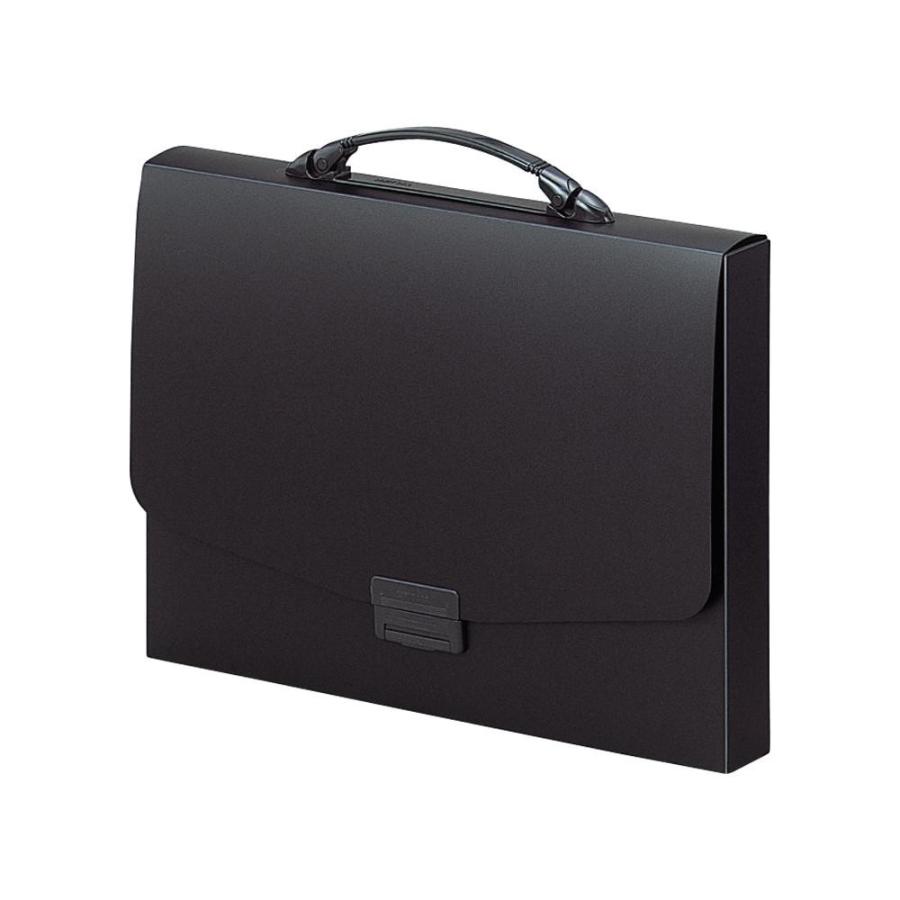 リヒトラブ　ポートフォリオ・ナスカフレックス　F-910黒ブラック　A4 | 