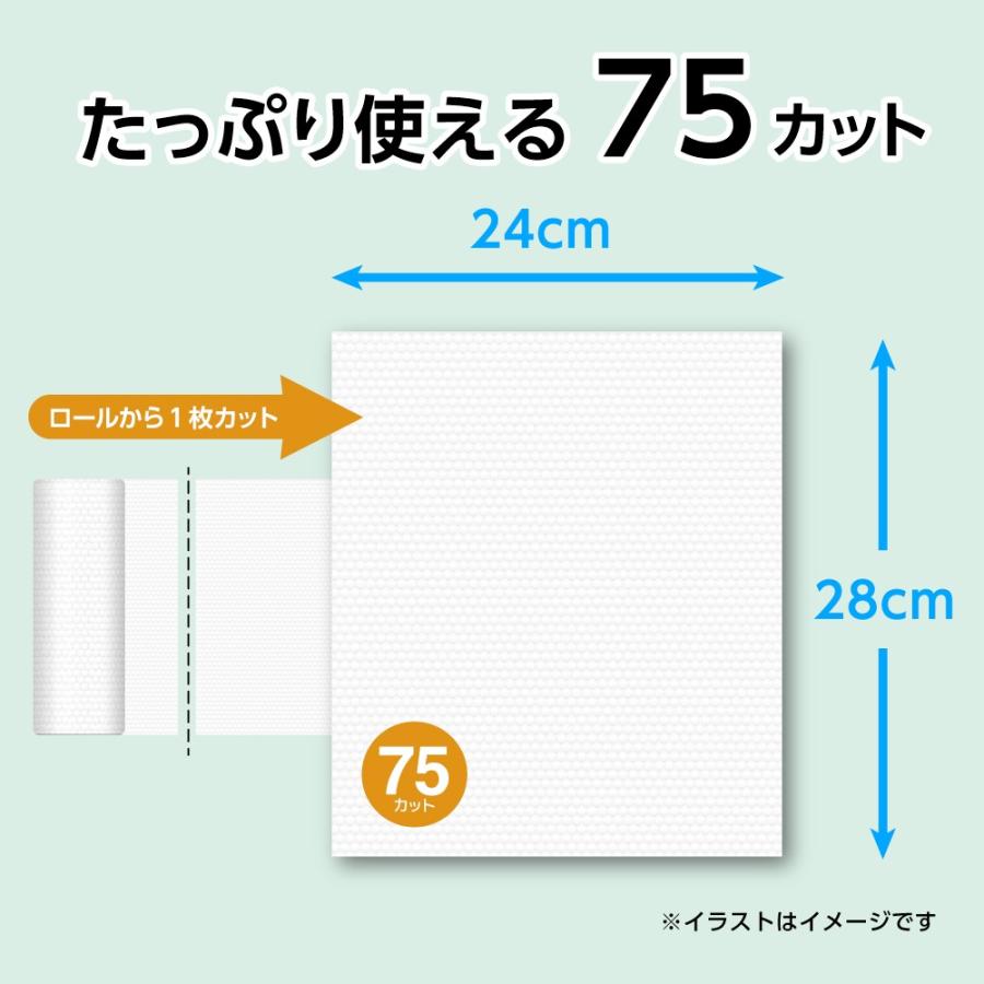 青山通商 グディナ 洗って繰り返し使えるペーパータオル 75カット 24個セット | ブランド登録なし | 04