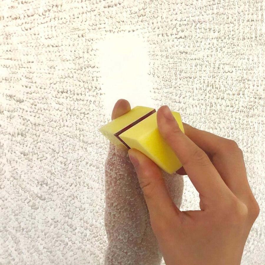ヒューマンシステム ダイヤモンドパッドS＋ 鏡 うろこ 水あか ダイヤモンドパッド 掃除 クエン酸 大掃除 | ブランド登録なし | 01