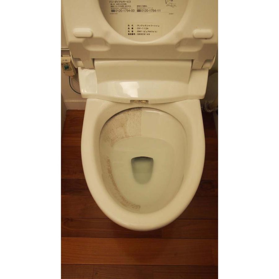 ヒューマンシステム ダイヤモンドパッドH タイル 水あか 尿石 ダイヤモンドパッド 大掃除 | ブランド登録なし | 01