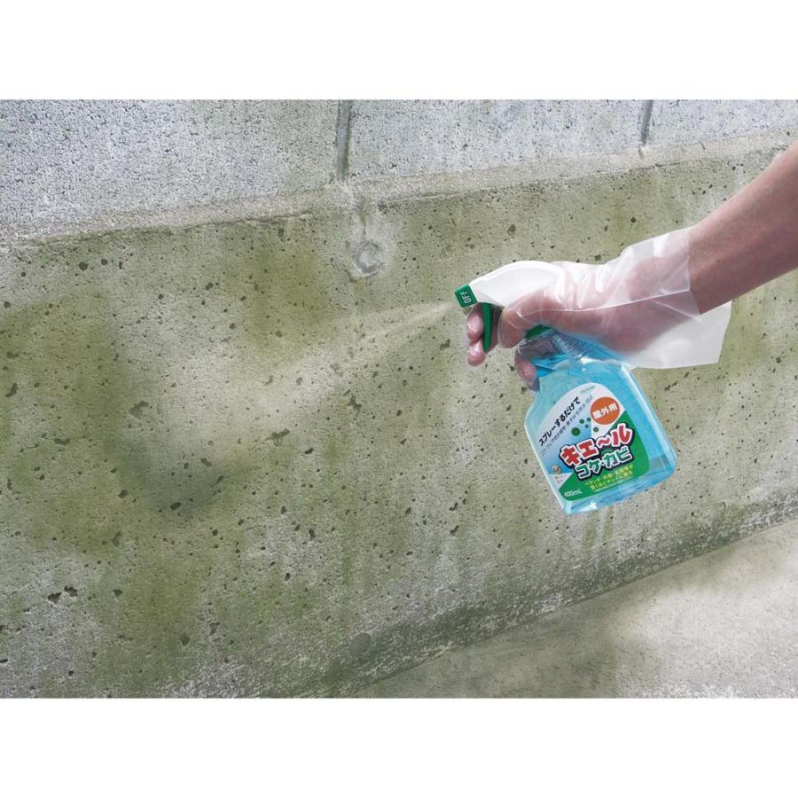 東京企画販売 キエールコケ・カビ 400ml TKTY-001 | ブランド登録なし | 01