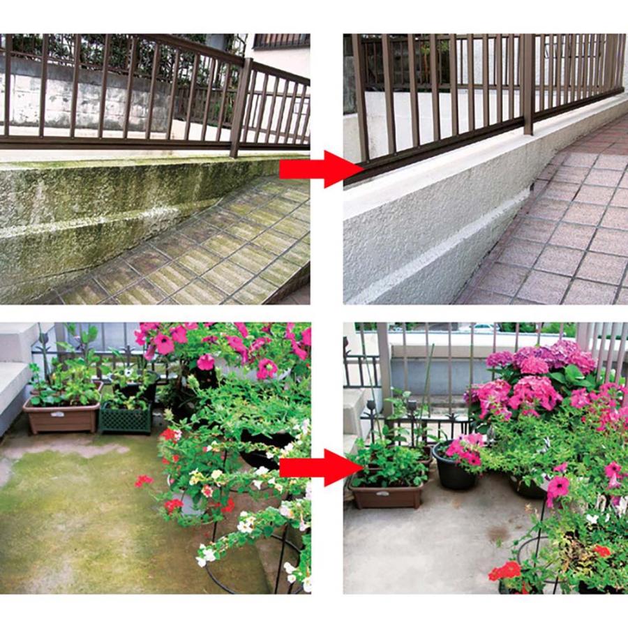 東京企画販売 キエールコケ・カビ 400ml TKTY-001 | ブランド登録なし | 02