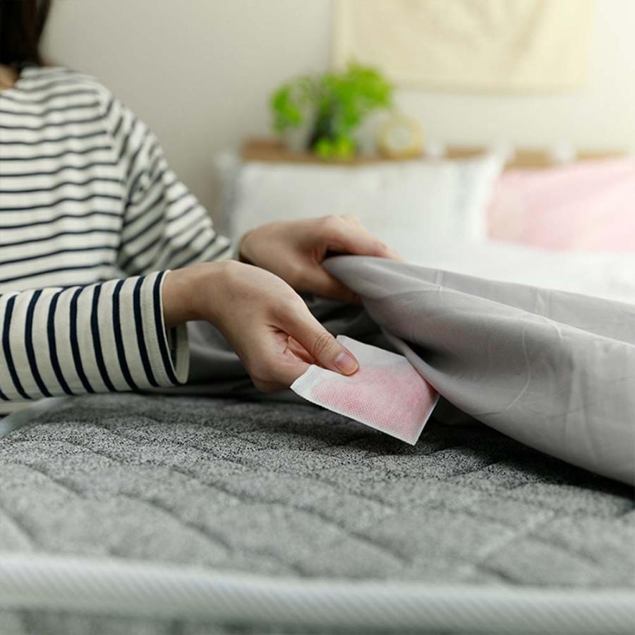 太洋 きになるニオイトリ ダニ対策用 6個入り N-D6R 抗菌 消臭 防カビ シート | ブランド登録なし | 02