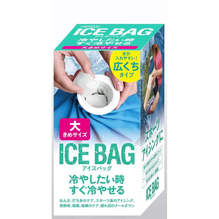 東京企画販売 アイスバック 大きめ | ブランド登録なし