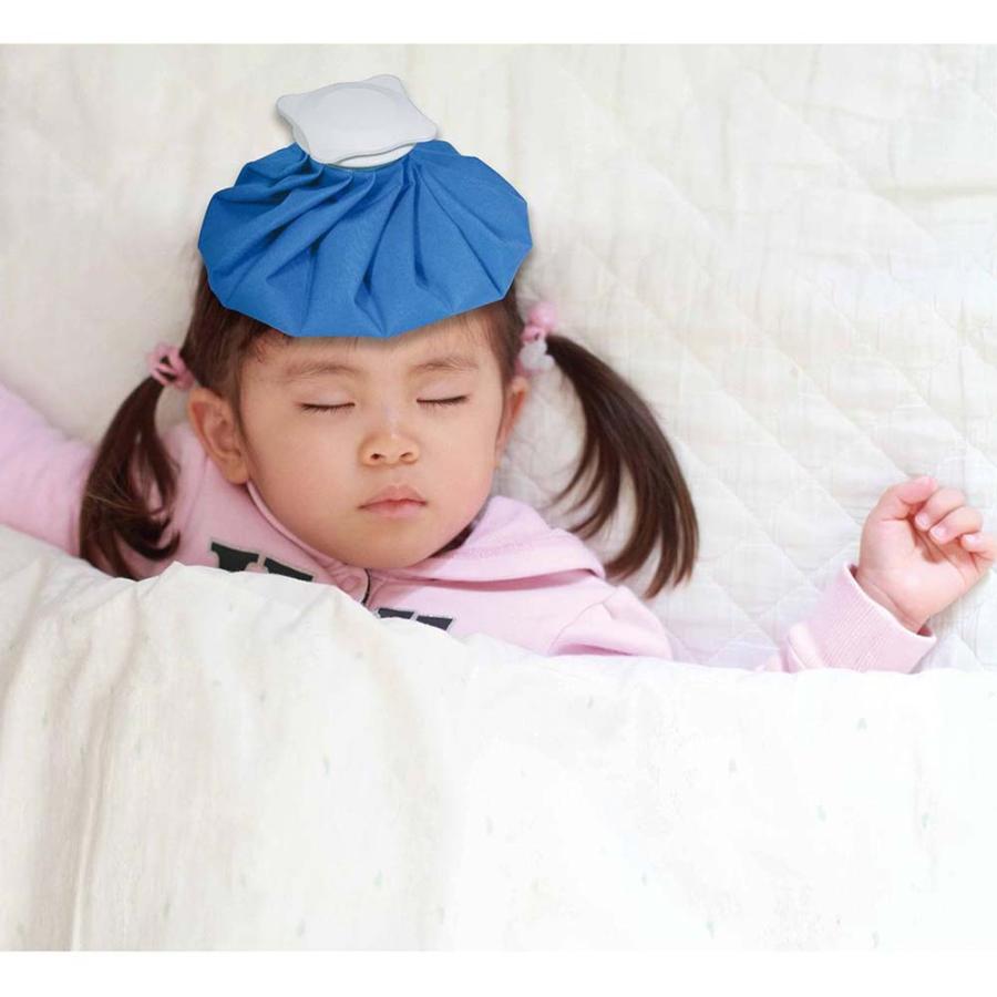 東京企画販売 アイスバック 大きめ | ブランド登録なし | 03