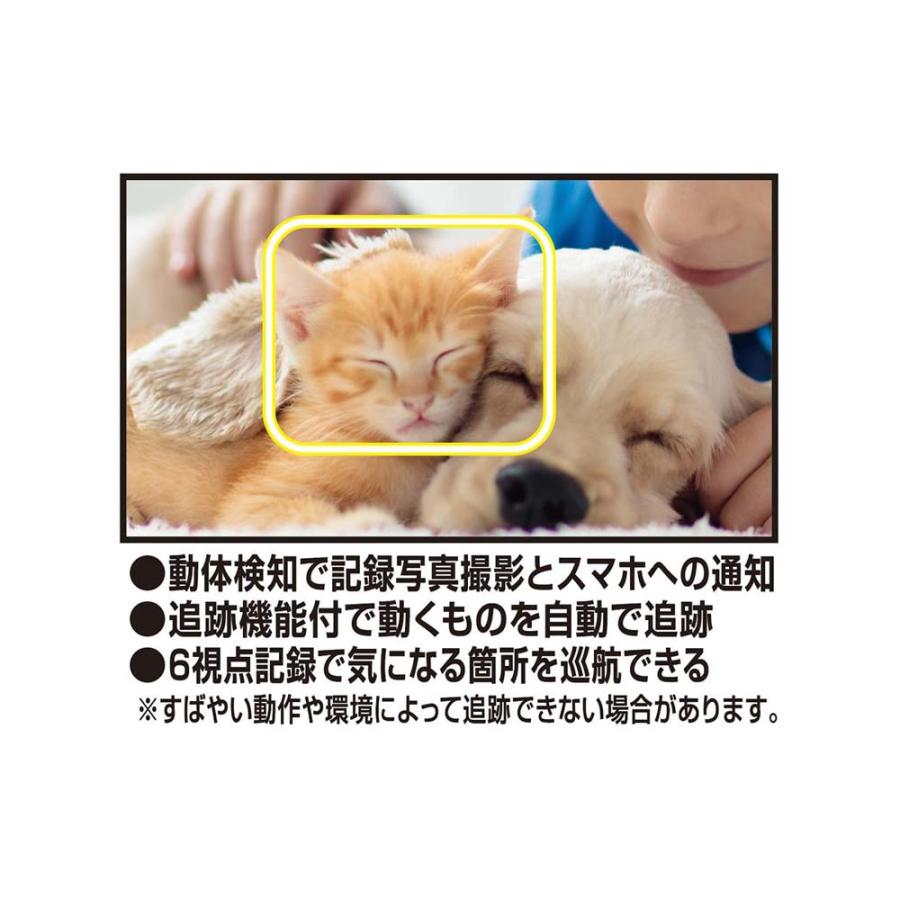 カシムラ kashimura スマートカメラ リモコン / 温湿度 / 首振−巡航 | Kashimura | 08