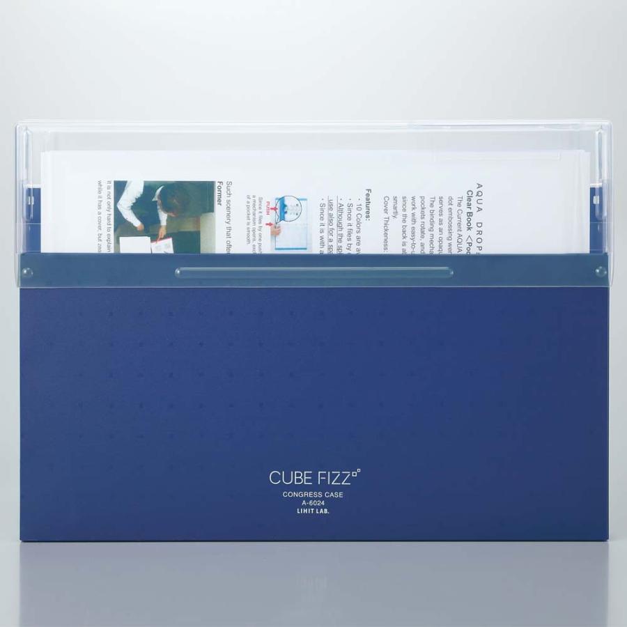 LIHIT LAB (リヒトラブ) CUBE FIZZ ゴングレスケース グリーン A6024-7 | ブランド登録なし | 06