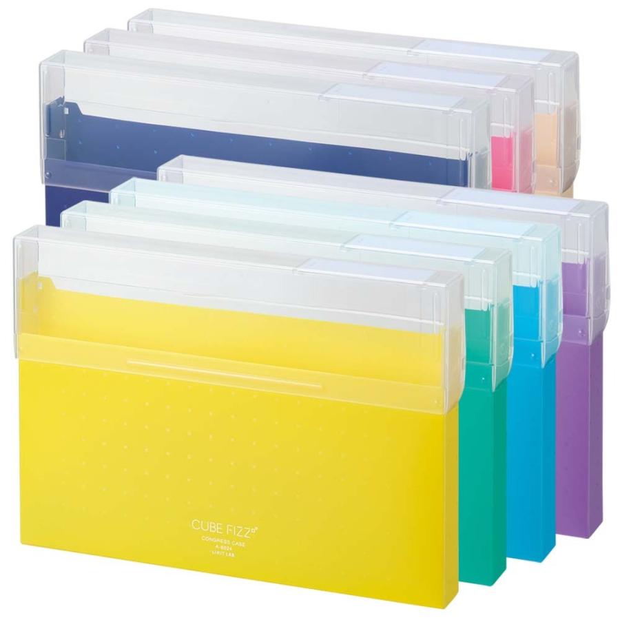 LIHIT LAB (リヒトラブ) CUBE FIZZ ゴングレスケース ブルー A6024-8 | ブランド登録なし | 01