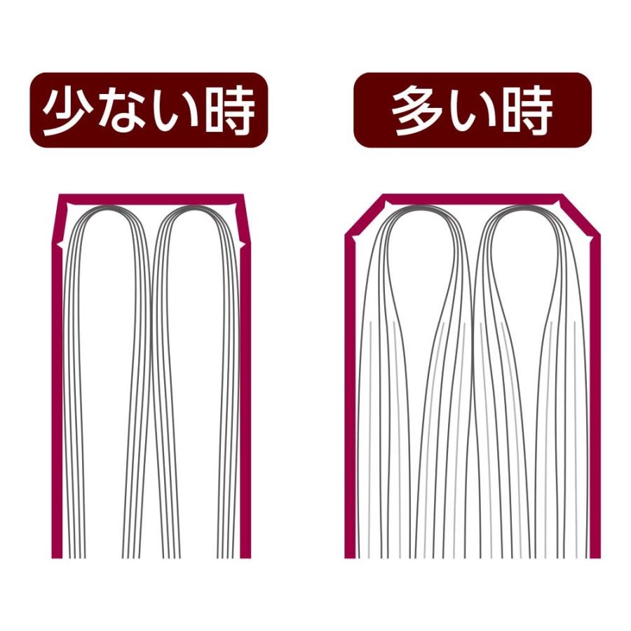 LIHIT LAB.＜リヒトラブ＞ ALTNA クリヤーブック 20P レッド N7751-3 | ブランド登録なし | 04