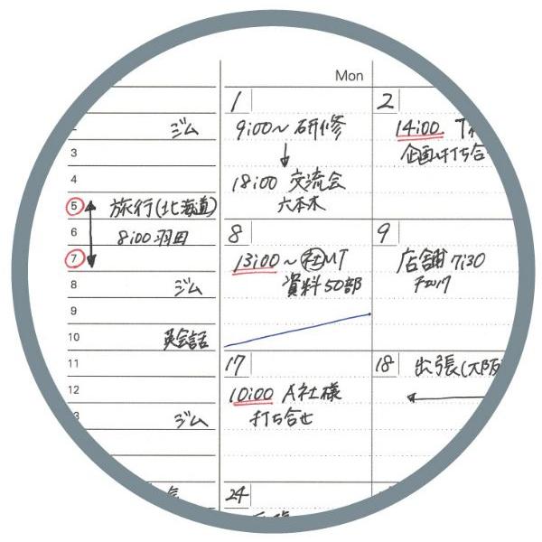 システムノート用リフィル　フリーマンスリースケジュール(ブロック式)　B6サイズ　NT185　レイメイ藤井 | ブランド登録なし | 02
