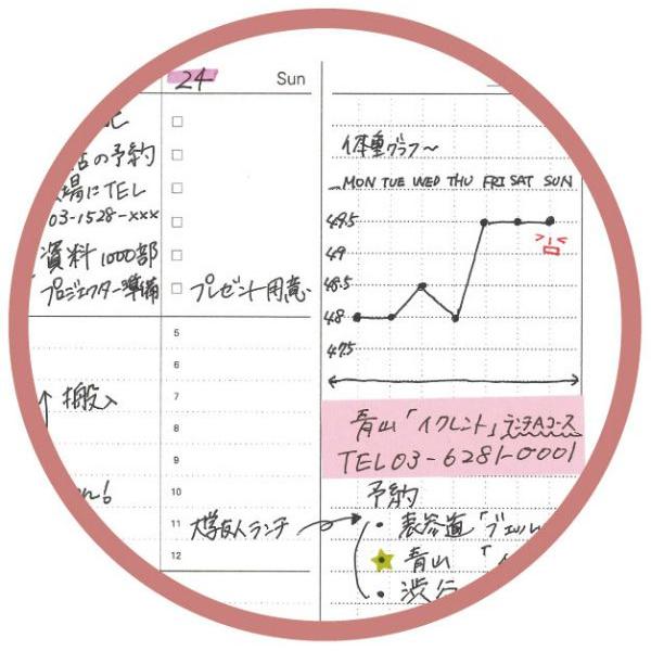 【メール便5冊までなら送料290円】システムノート用リフィル フリーウィークリースケジュール A5サイズ NT227 レイメイ藤井 | ブランド登録なし | 02