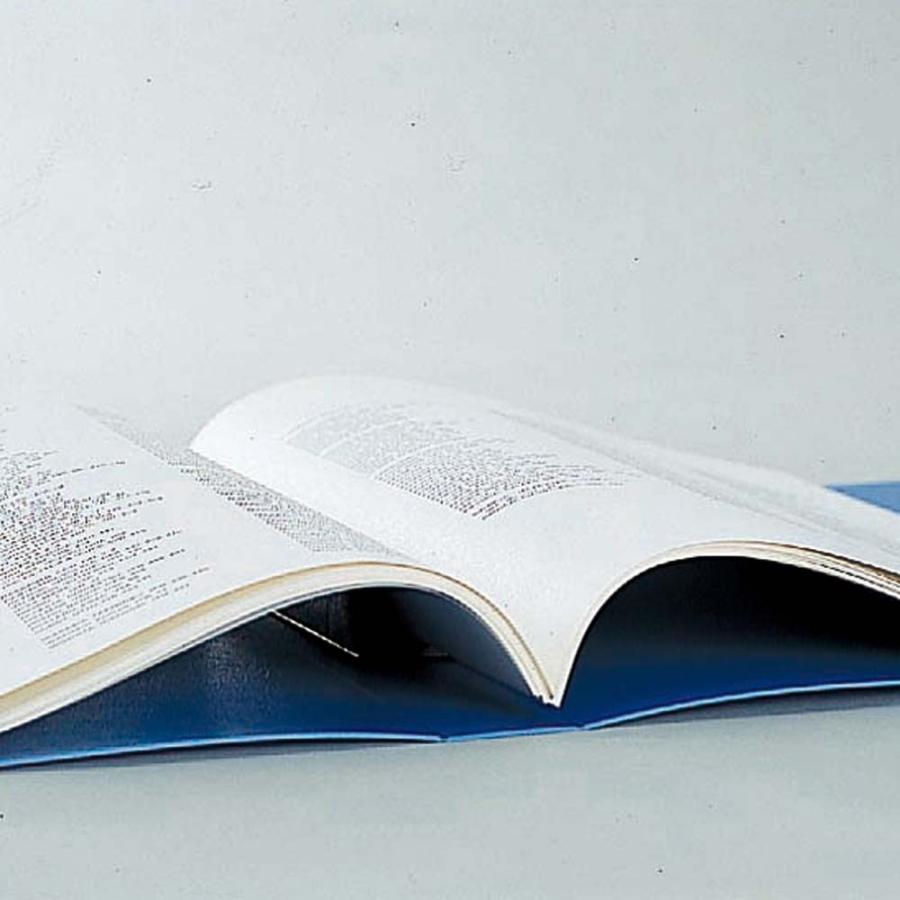 LIHIT LAB.＜リヒトラブ＞バーロックファイル A4S 10ミリ 藍 F-643 | ブランド登録なし | 02