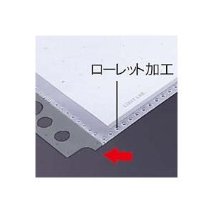 LIHIT LAB.＜リヒトラブ＞ルポ・リーンフォース・クリヤーポケットA5 グレー N2010 | ブランド登録なし | 03