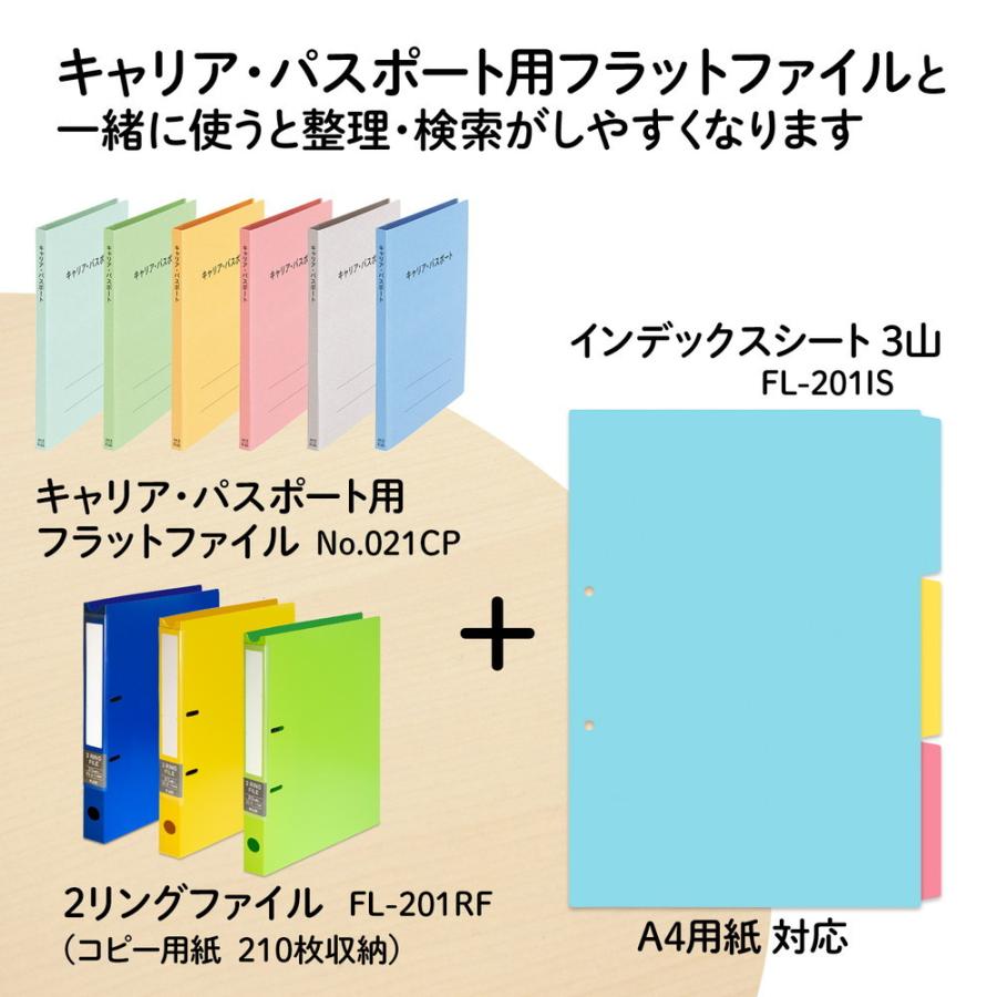プラス(PLUS) インデックスシート PP製 2穴 A4縦 3山1組 FL-201IS 84-841 | PLUS | 04