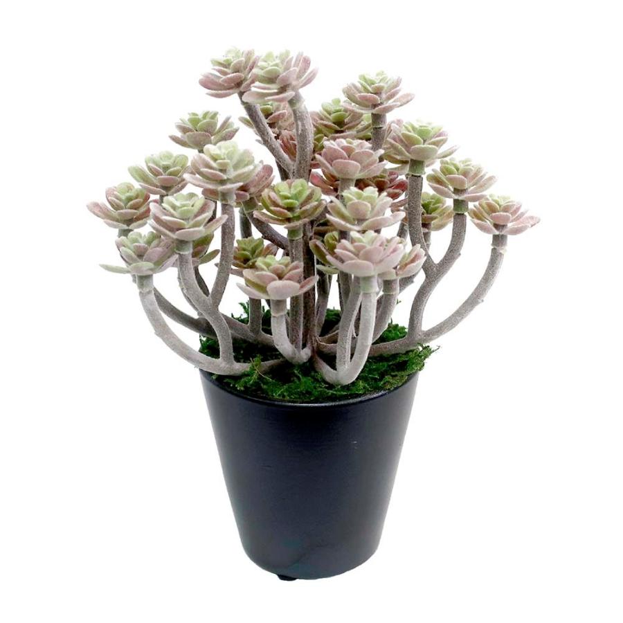 【ササガワ】 ＜人工観葉植物＞ パープルセダム ミニサイズ 32-8700 | ブランド登録なし