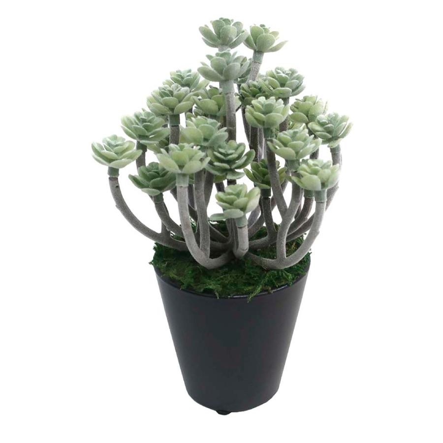 【ササガワ】 ＜人工観葉植物＞ グリーンセダム ミニサイズ 32-8701 | ブランド登録なし