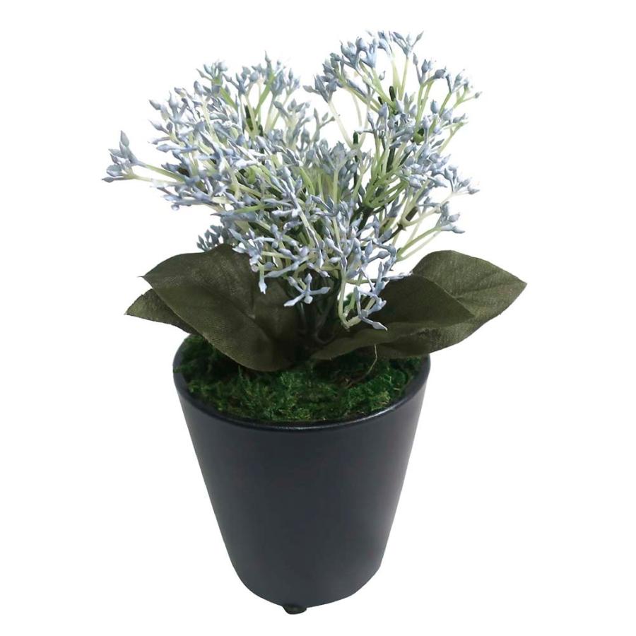 ササガワ 人工観葉植物 ブルースキニア ミニサイズ 32 8703 イーコンビyahoo 店 通販 Yahoo ショッピング