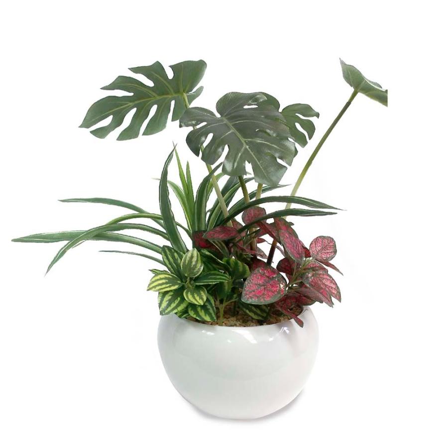 ササガワ 人工観葉植物 モンステラ寄植え Sサイズ 32 8708 イーコンビyahoo 店 通販 Yahoo ショッピング