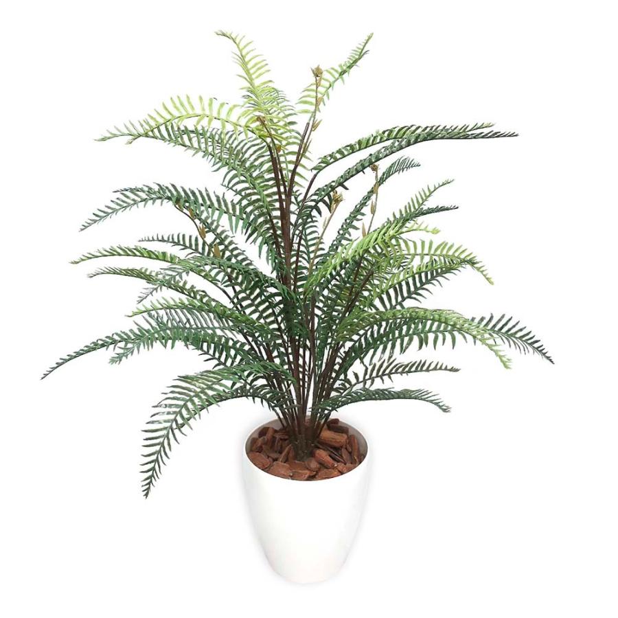 【ササガワ】 ＜人工観葉植物＞ タマシダ Mサイズ 32-8711 | ブランド登録なし