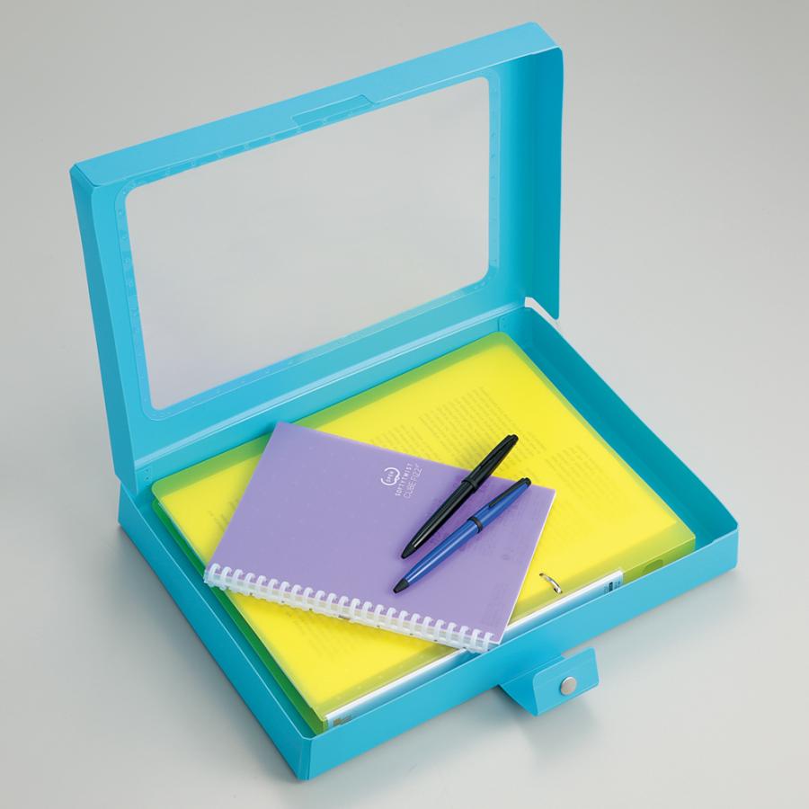 LIHIT LAB (リヒトラブ) CUBE FIZZ ハンドケース パープル A699-10 | LIHIT LAB. | 04