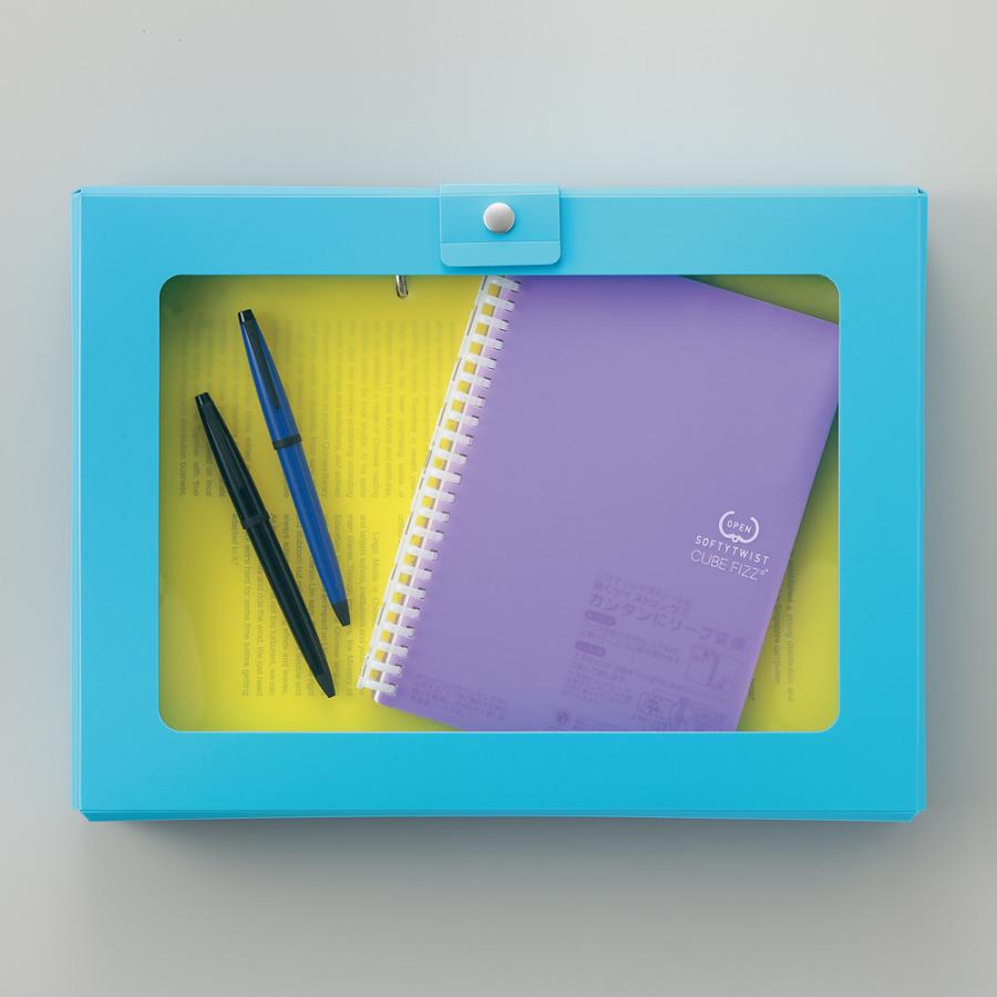 LIHIT LAB (リヒトラブ) CUBE FIZZ ハンドケース ピンク A699-12 | LIHIT LAB. | 02