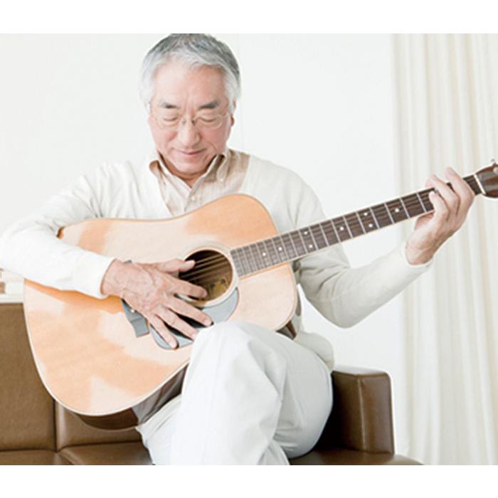 キングジム＜KING JIM＞ ジリッツ(JILITZ) クリアーファイル A4タテ型 20ポケット クロ 8832クロ | KING JIM | 01