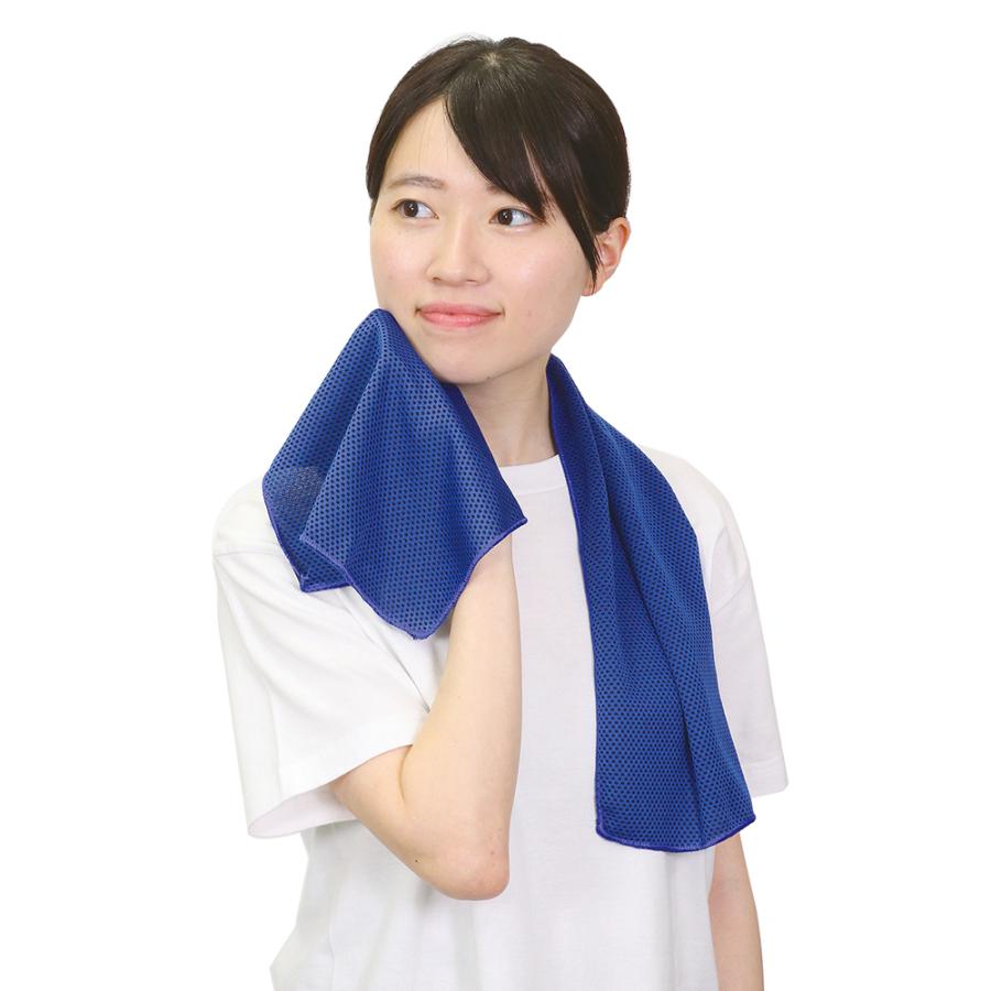 アーテック Artec 51167 冷感タオル ブルー | ブランド登録なし | 02