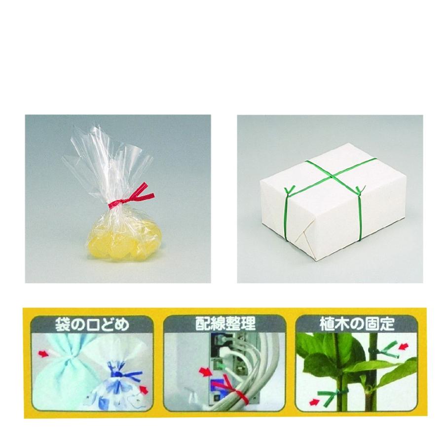 プラス(PLUS)ビニタイ ねじりっこ 20m巻 カッター付 ブルー TF-800　82-627 | PLUS | 02