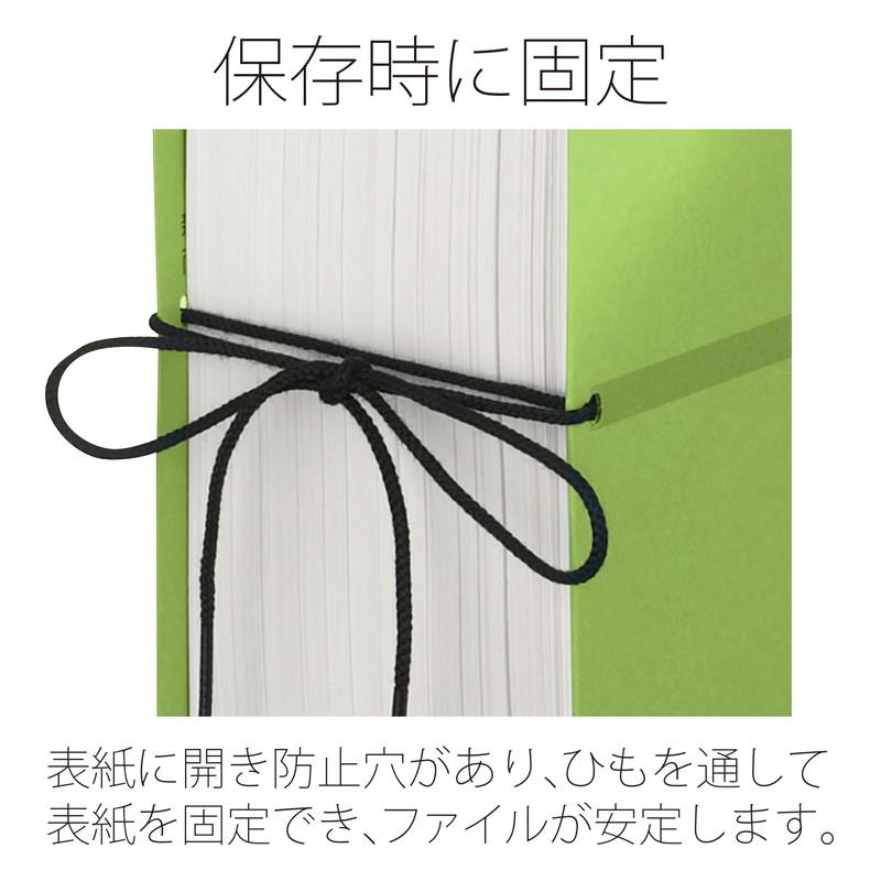 プラス(PLUS)背幅伸縮フラットファイル セノバス 替え表紙 つづり紐タイプ A4-S グリーン FL-023SH　89-139 | PLUS | 07