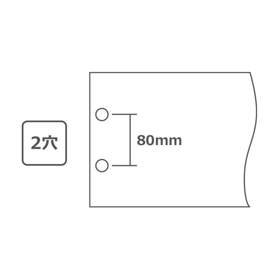 プラス(PLUS)とじ込表紙 B5-E 2穴 FL-005TU 10冊パック　77-216 | PLUS | 01