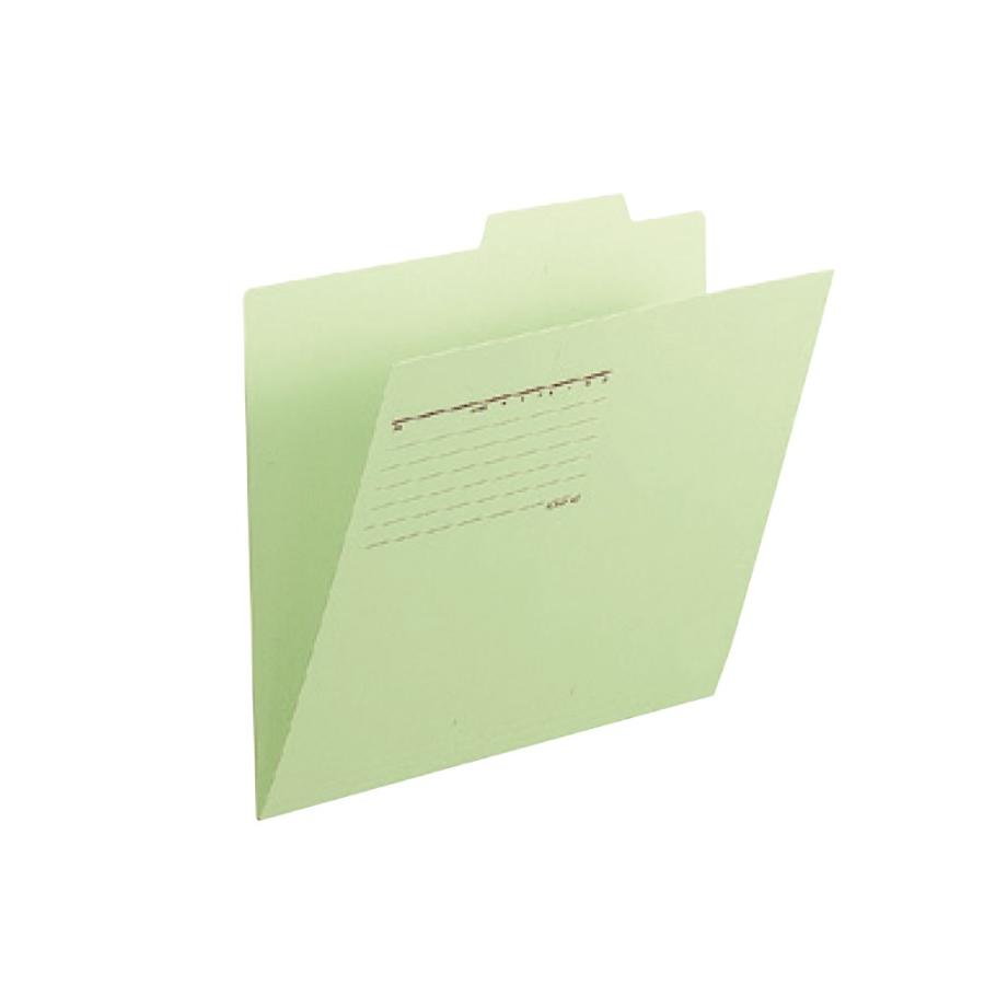 プラス(PLUS)個別フォルダー A4-E グリーン FL-061IF 10セット　87-096 | PLUS