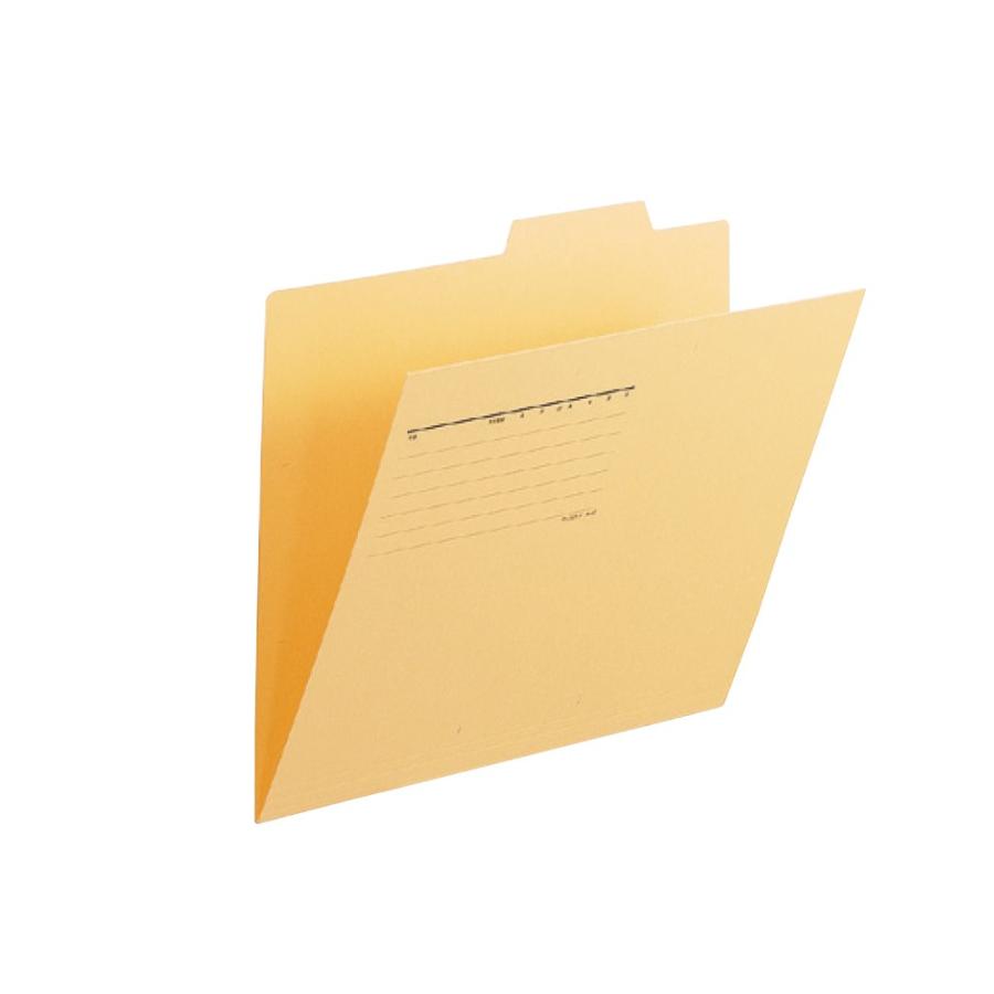 プラス(PLUS)個別フォルダー A4-E イエロー FL-061IF 10セット　87-097 | PLUS