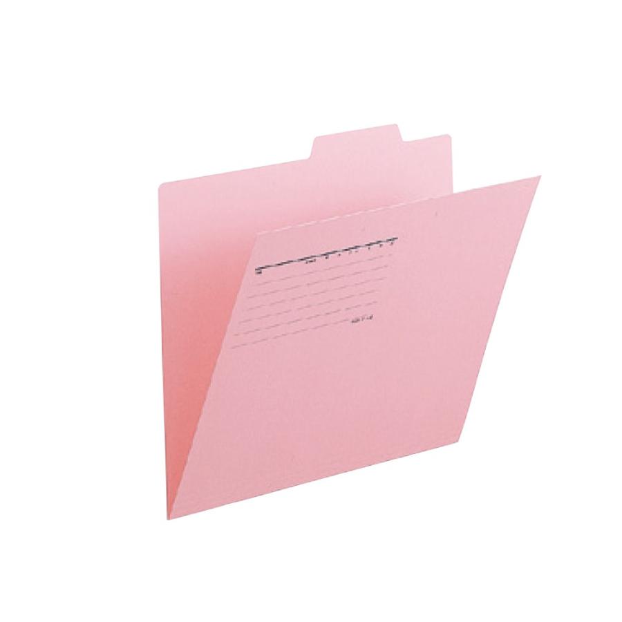 プラス(PLUS)個別フォルダー A4-E ピンク FL-061IF 10セット　87-098 | PLUS