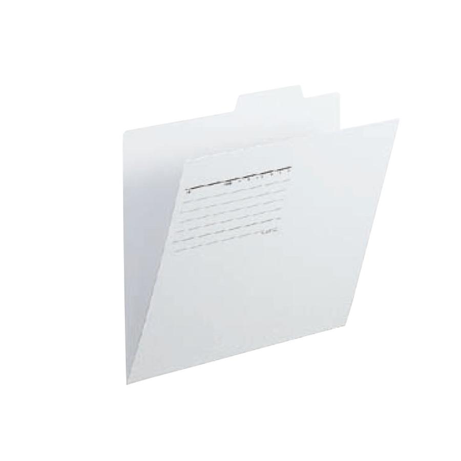 プラス(PLUS)個別フォルダー A4-E グレー FL-061IF 10セット　87-099 | PLUS